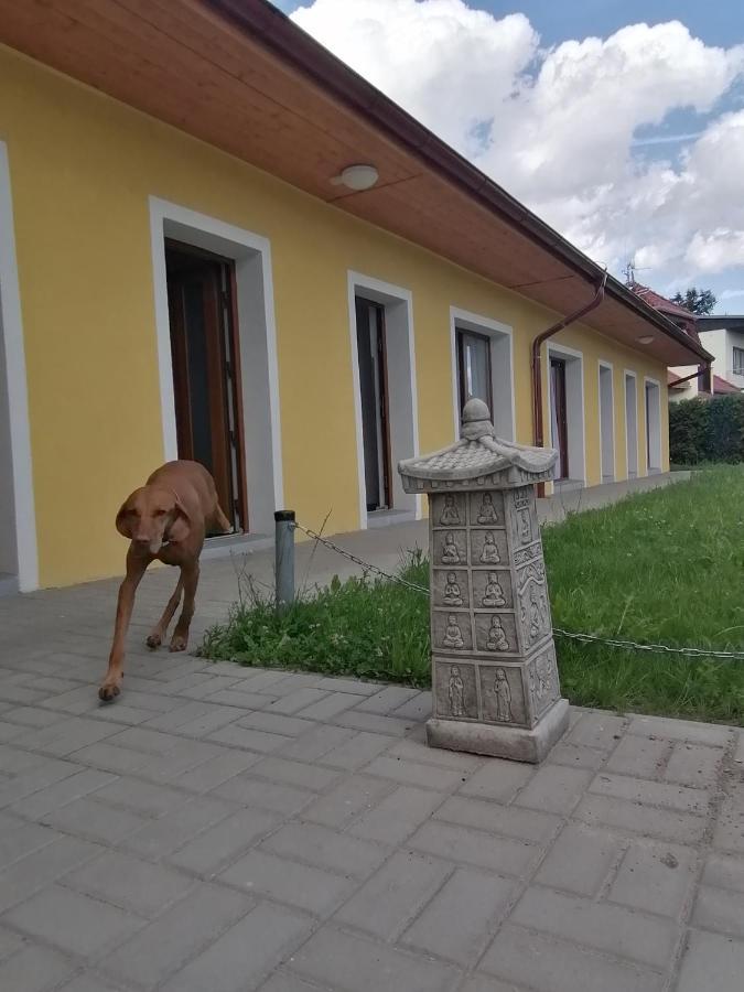Penzion Loren Františkovy Lázně Kültér fotó